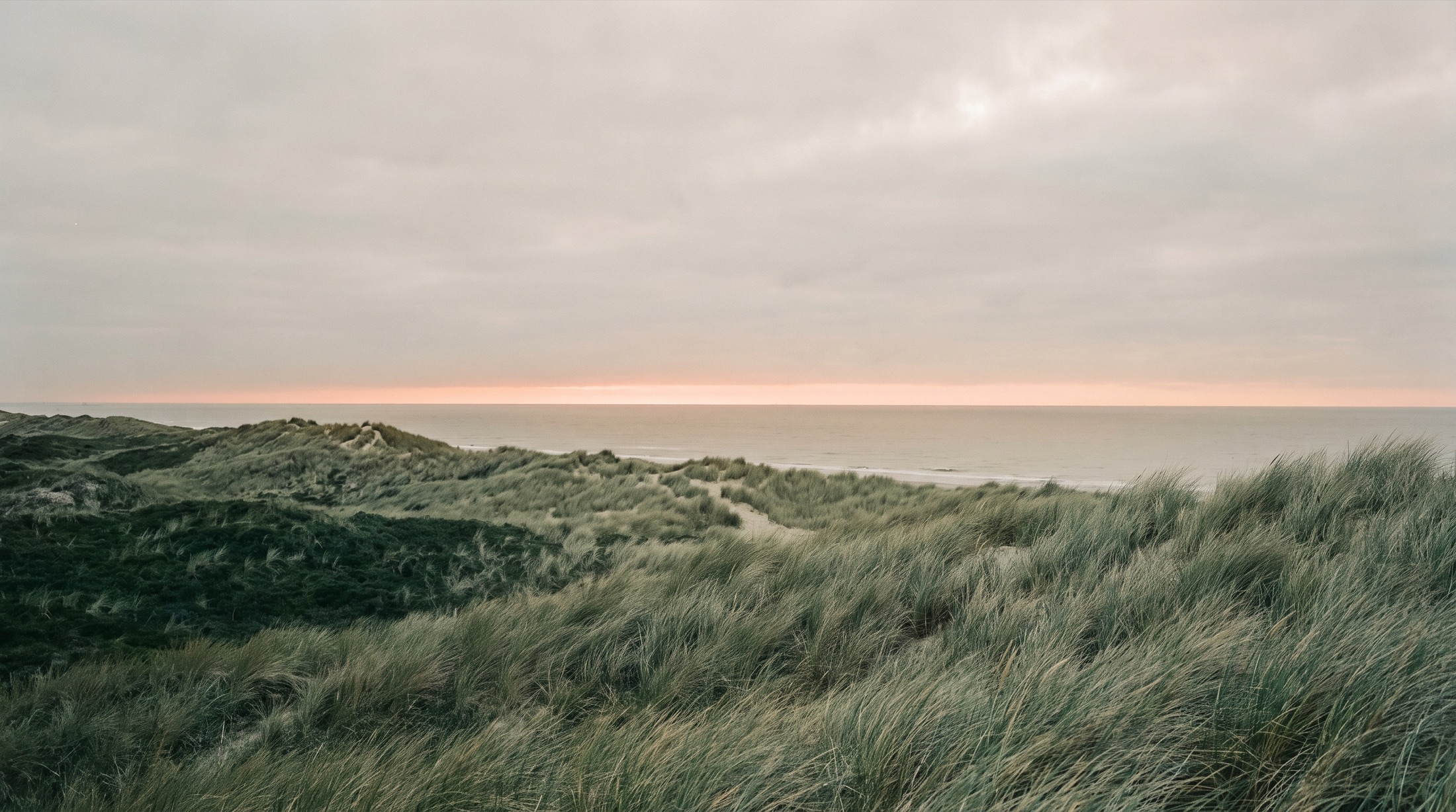 Duinen met helmgras en zicht op een kalme zee bij zacht licht